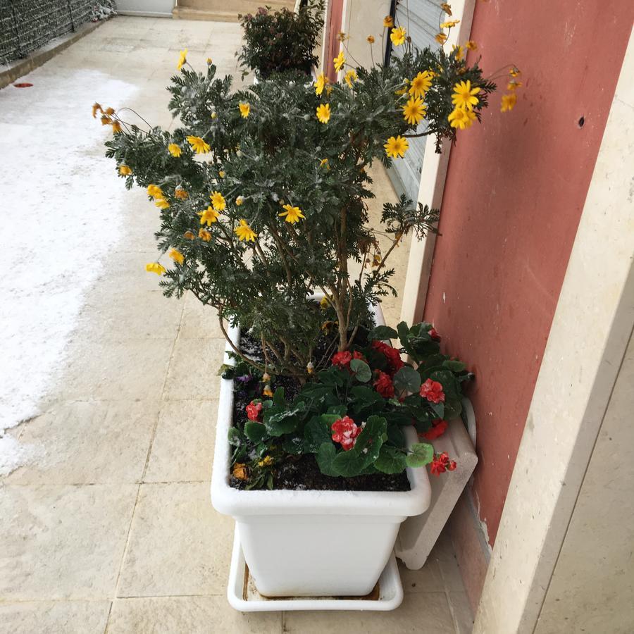 Amaranto Bnb Matera Esterno foto